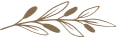 YLB